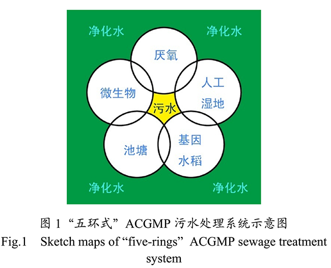 農村生活污水生態處理工藝研究